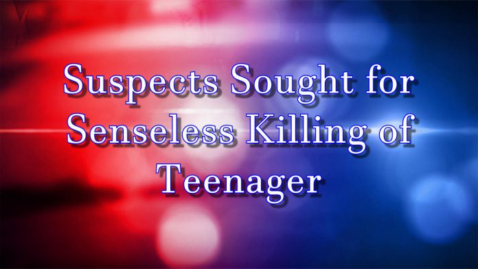 Suspects sought for senseless killing of teenager