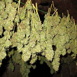 The officers found bags containing dagga as well as cartons of illegal cigarettes.