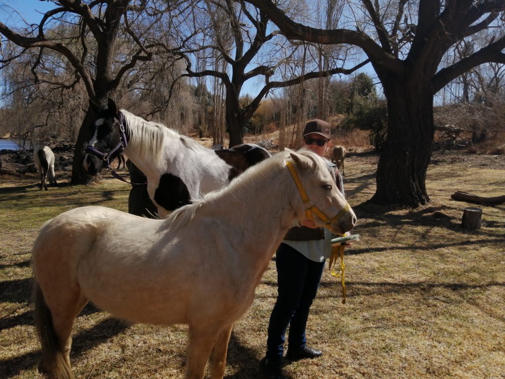 Rita fights back 1 day at a time through Equine Therapy