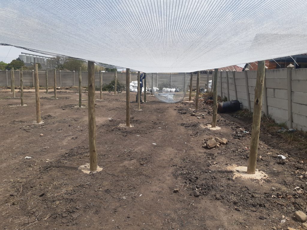 shade nets at garden