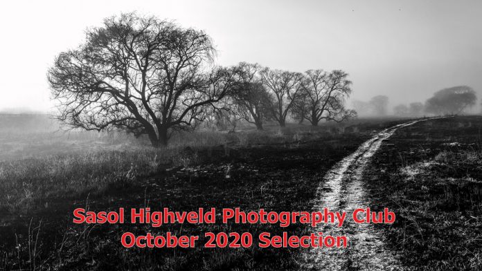 sasol highveld photography club