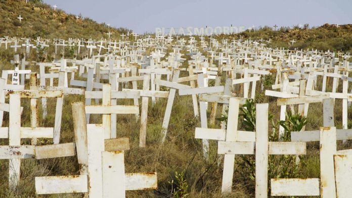 Frantic manhunt for farm murderers