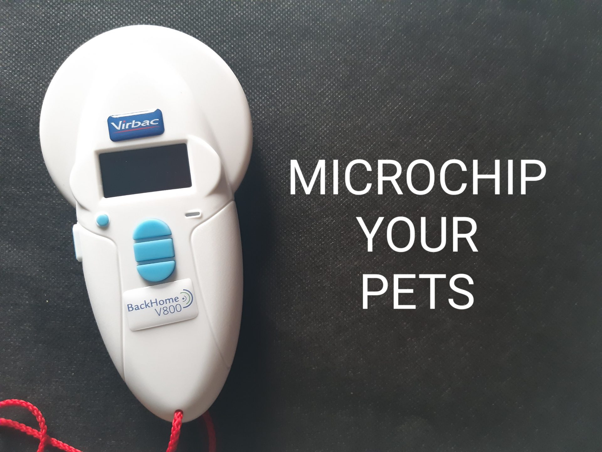 ANIMALS 101 PETS & MICROCHIPS The Bulletin