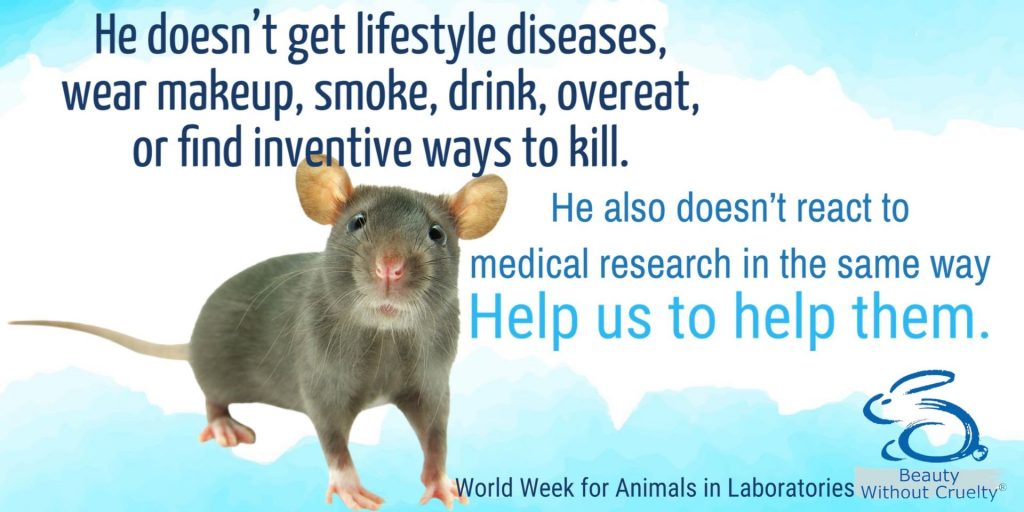 ANIMALS 101 – DO YOU UNKNOWINGLY SUPPORT ANIMAL TESTING? - The Bulletin