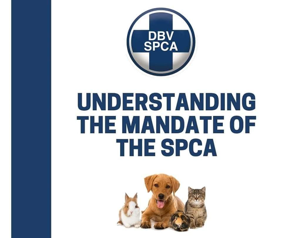 SPCA