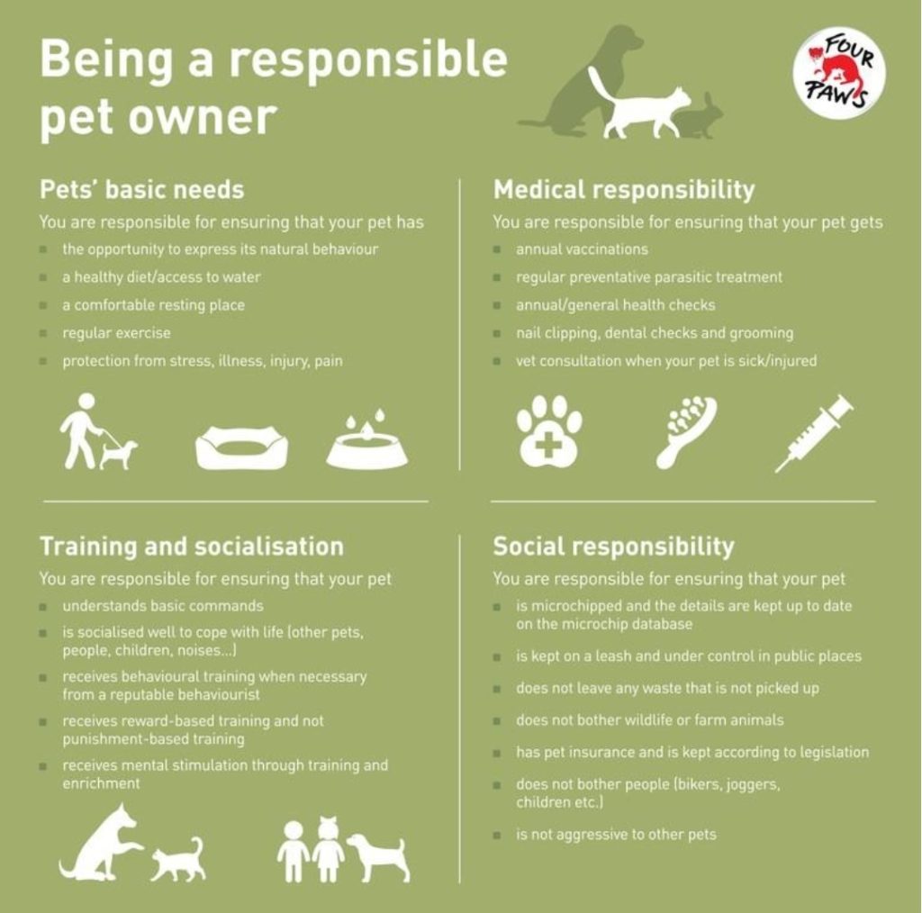 ANIMALS 101 ARE YOU A RESPONSIBLE PET OWNER? The Bulletin