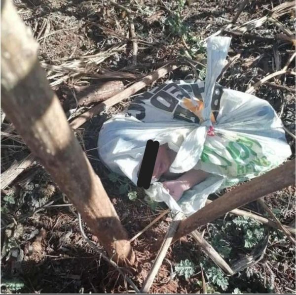 NEWBORN BABY FOUND ALIVE IN A PLASTIC BAG – The Bulletin News
