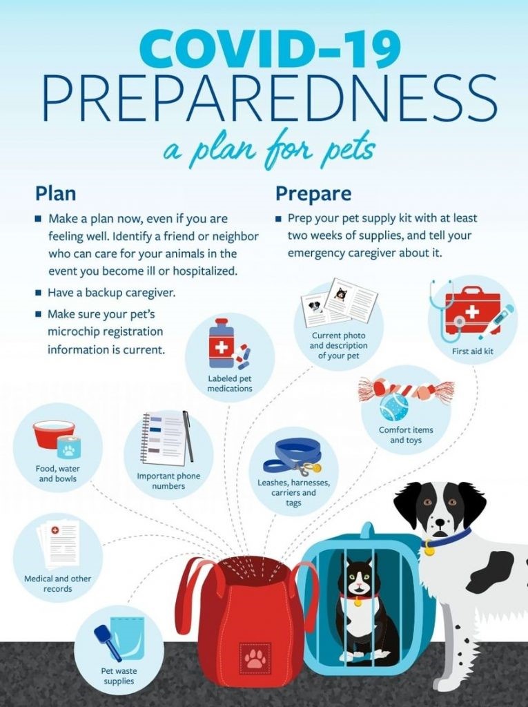 Emergency kit for pets
