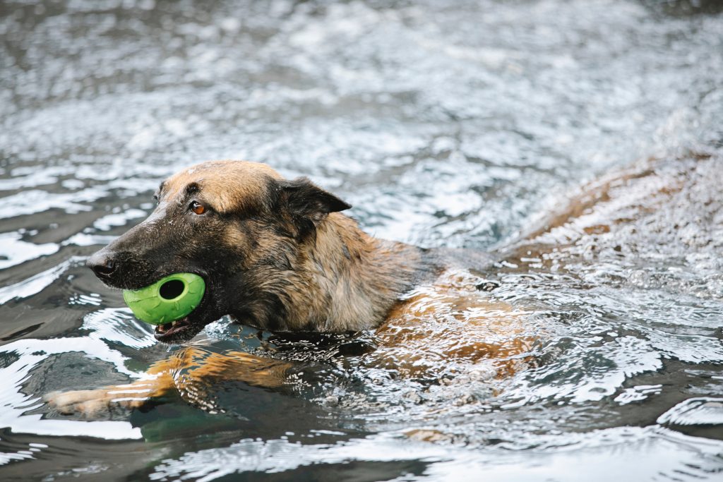 water safety
