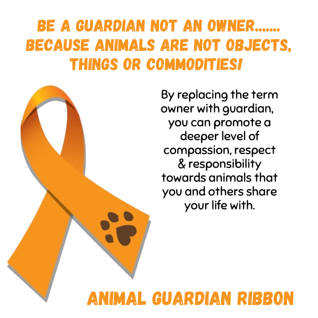 guardian ribbon