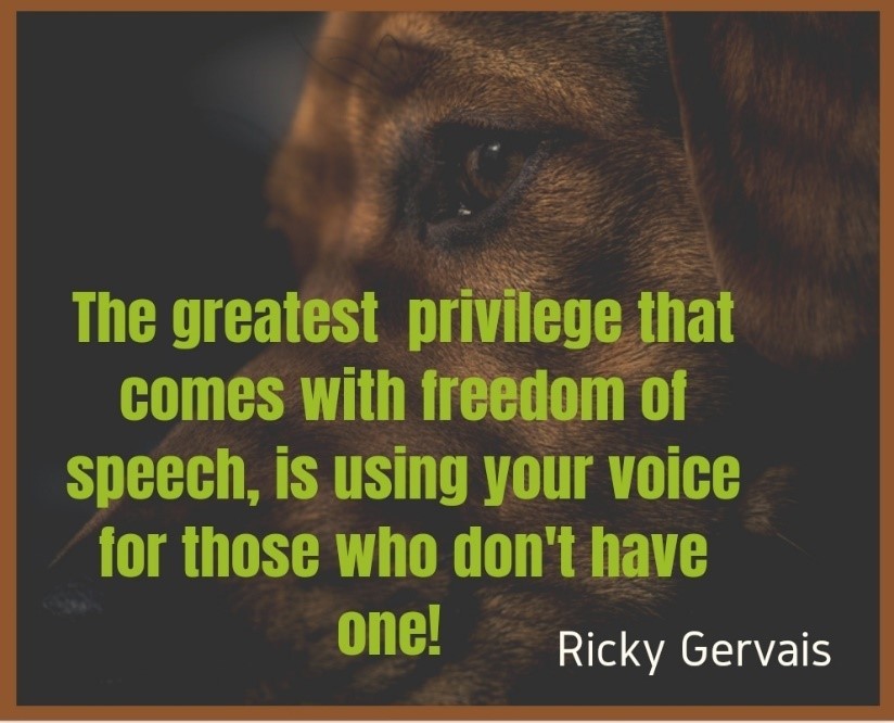 voice of the voiceless
