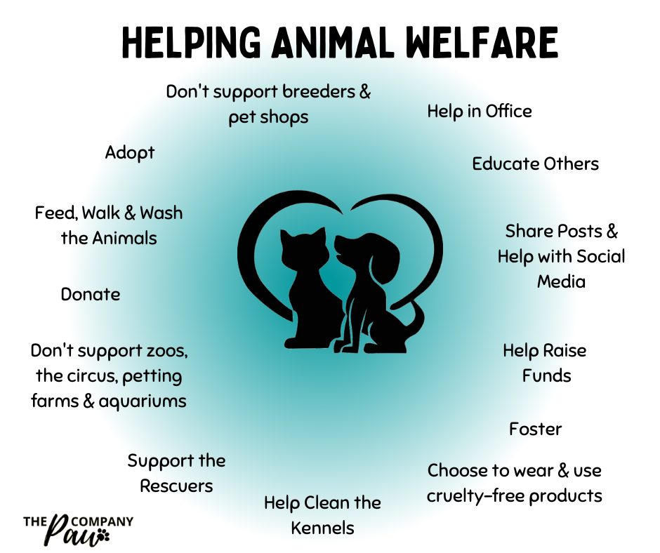 help animal welfare