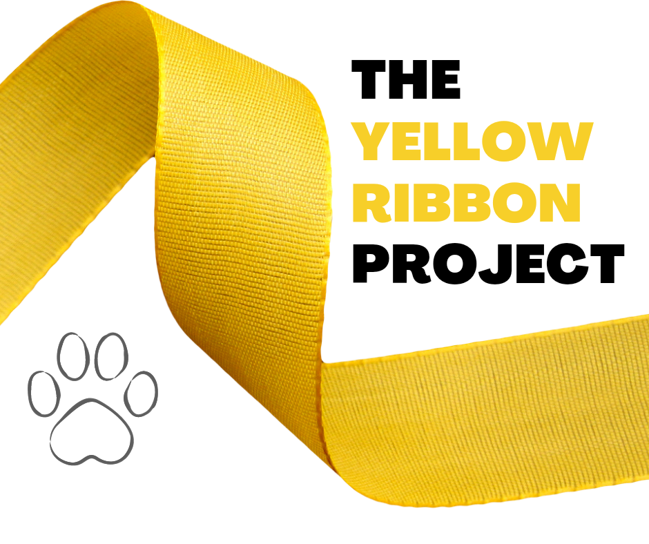 yellow ribbon project