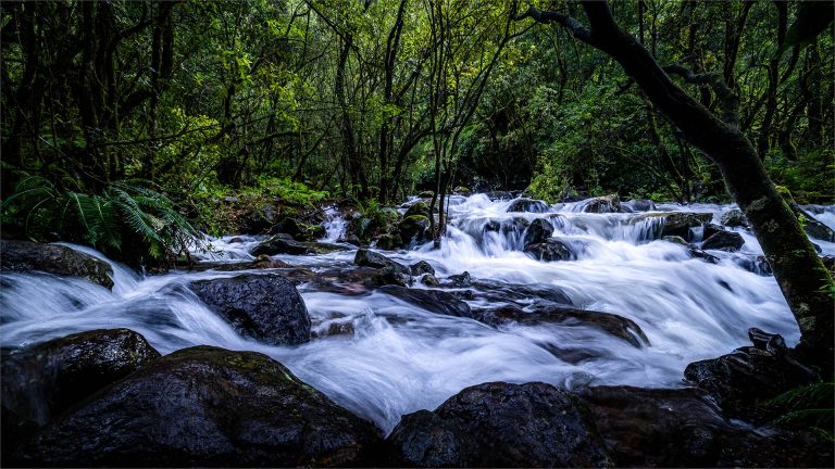 Sasol Highveld Photography Club Sasol Highveld Photography Club
