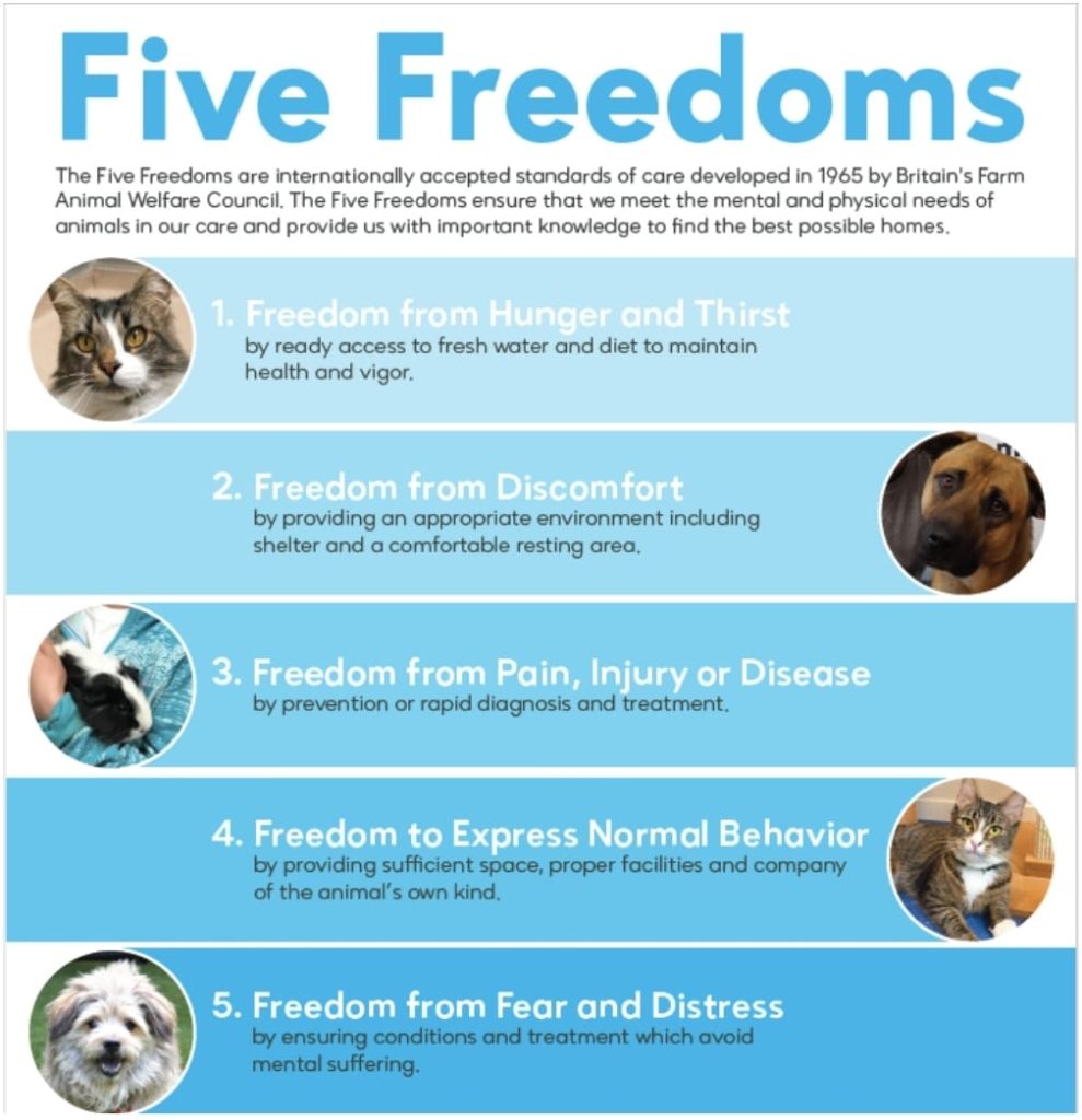 five freedoms