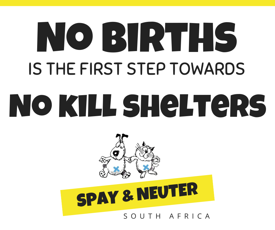 spay and neuter