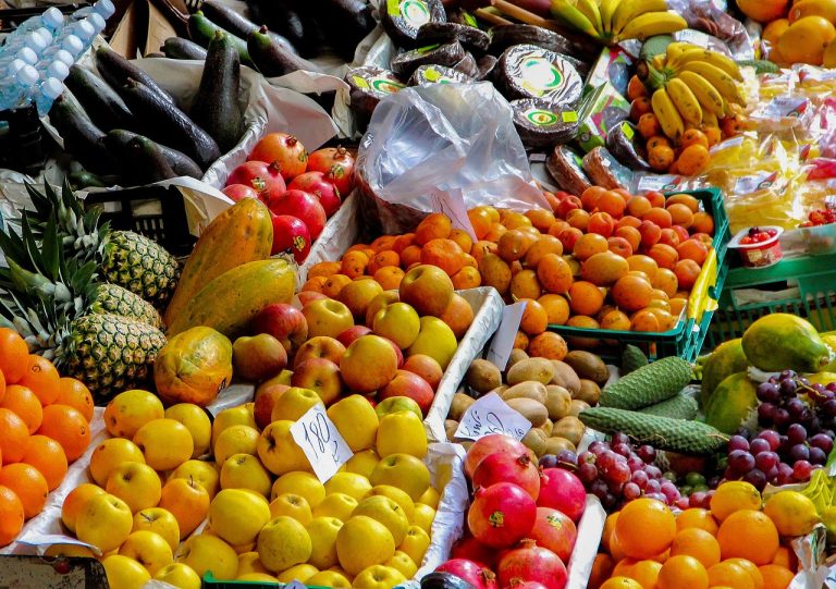 DA MPL Critiques Mpumalanga Agriculture Budget, Cites Misleading Claims
