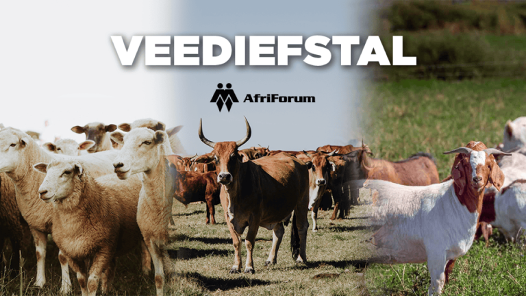 AfriForum eis nasionale ondersoek na polisiebetrokkenheid by veediefstal