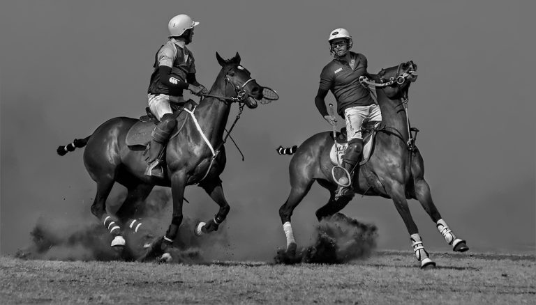 Sasol Highveld Photography Club Kicks Off 2026 with a Celebration of Photographic Excellence