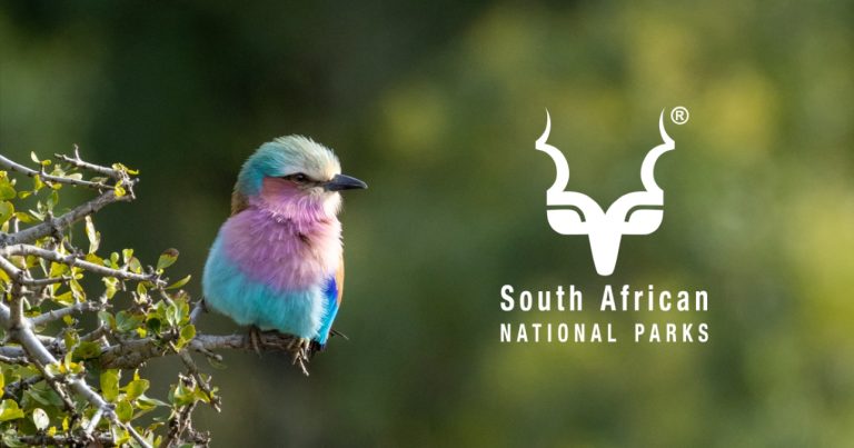 WARNING FOR KRUGER NATIONAL PARK VISITORS: PREDICTED RAINFALL AND SAFETY ADVISORY