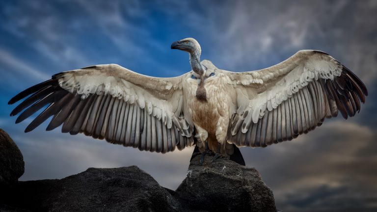 Sasol Highveld Photography Club — April 2026 meeting wrap