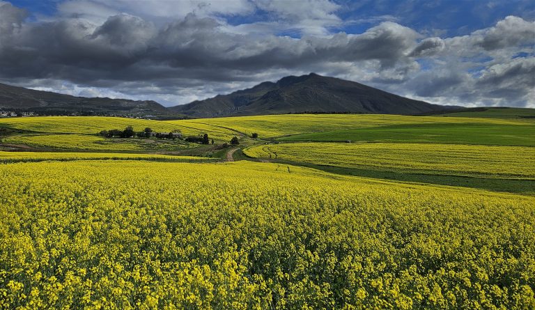 Sasol Highveld Photography Club celebrates October’s outstanding images